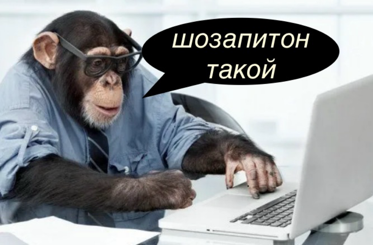 Вкатываемся в AQA | Сетка — социальная сеть от hh.ru
