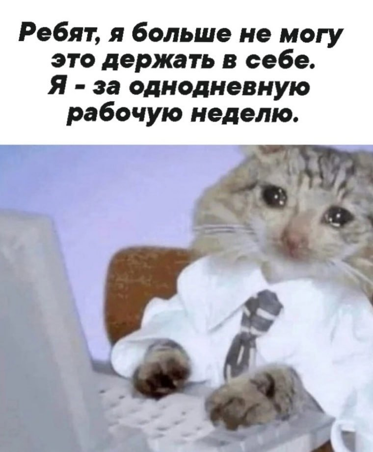 мысль в голове каждый понедельник | Сетка — социальная сеть от hh.ru