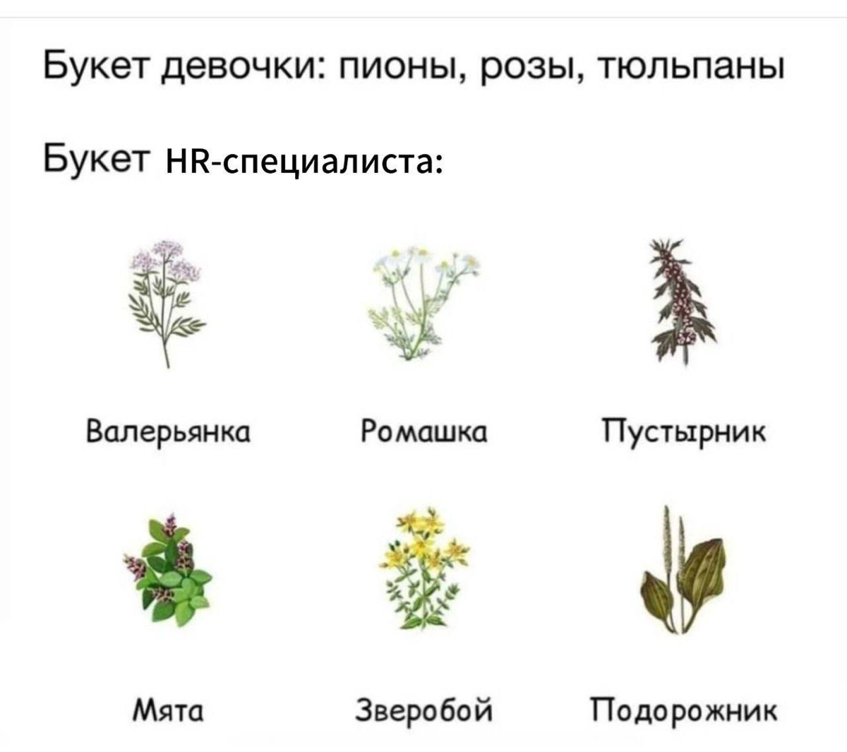 это база))) | Сетка — социальная сеть от hh.ru