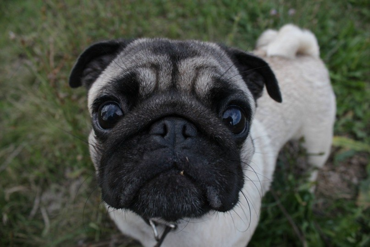 Никита Романов | Сетка — социальная сеть от hh.ru