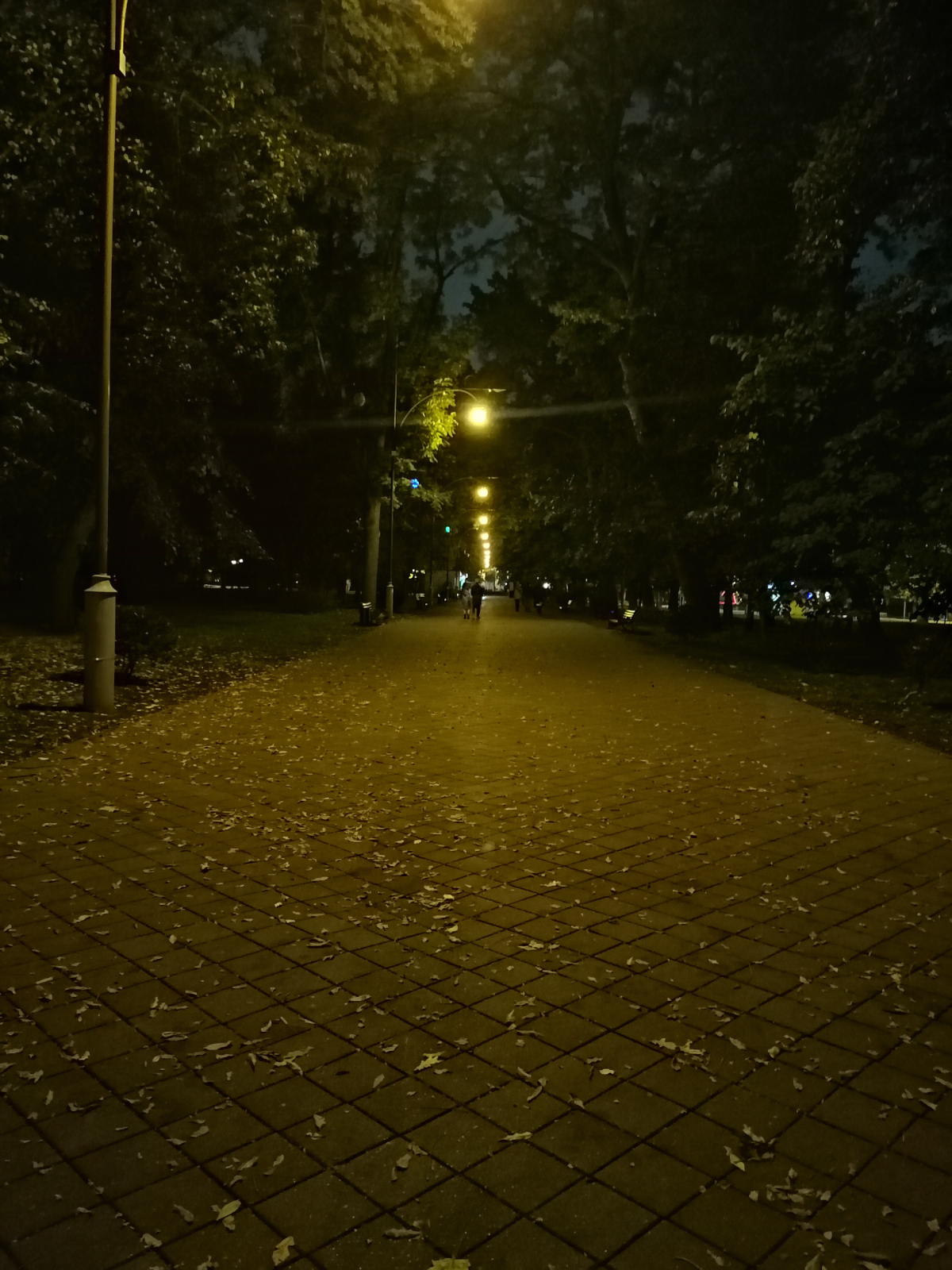 Краснодарская осень | Сетка — социальная сеть от hh.ru