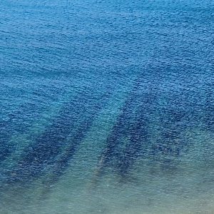 Павел Ермаков | Сетка — социальная сеть от hh.ru