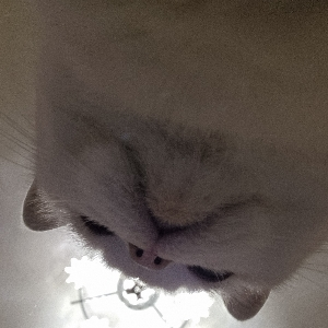 Владислав Игнатов