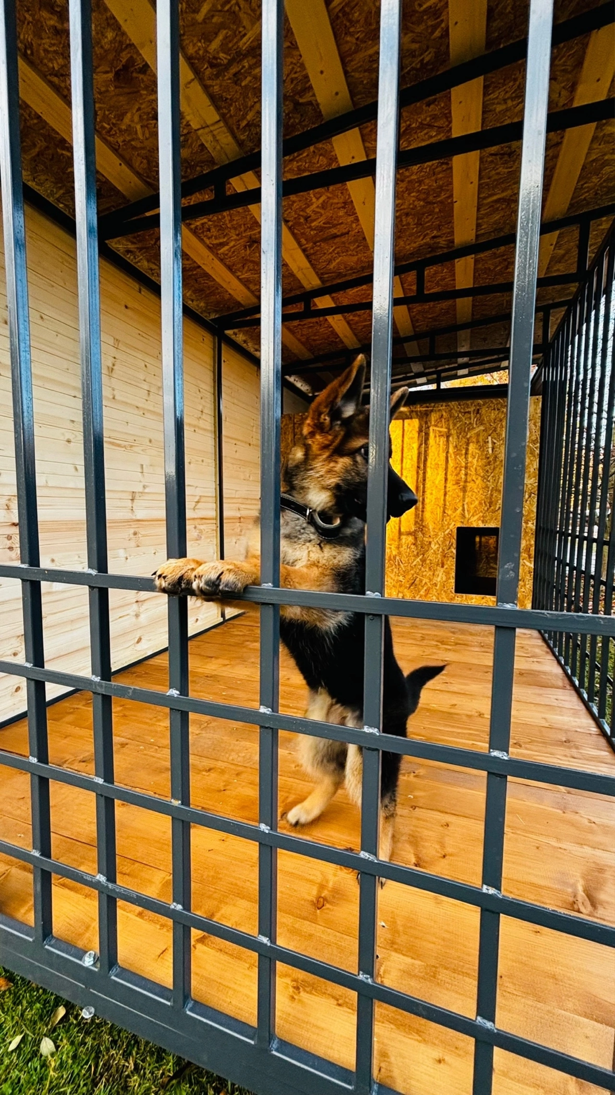 Изготовил Вольер 🐶🏠 | Сетка — социальная сеть от hh.ru