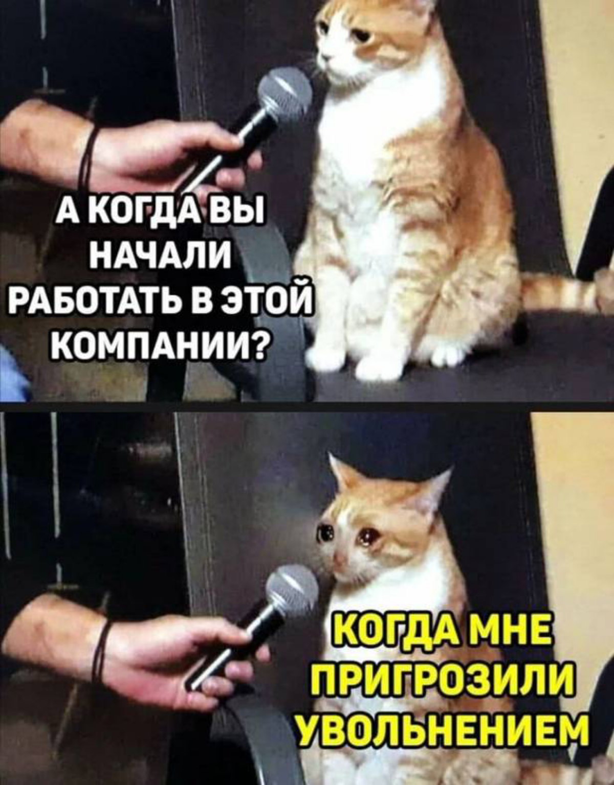 В поисках работы.
Не могу устоять на месте, всегда хочется многое попробовать и пощупать, всегда и везде страшно ошибаться, тыкаю если кивнут чтт я иду по правильному пути | Сетка — социальная сеть от hh.ru