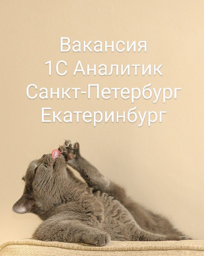 #Вакансия #Аналитик1С #1C #РФ #Спб #Екатеринбург #Fulltime
АНАЛИТИК 1С
ГК «Монополия»
Город: Санкт Петербург, Екатеринбург
Доход: от 230 000 net
Мы ожидаем:
·         знание одной из конфигурации 1C: ... | Сетка — социальная сеть от hh.ru