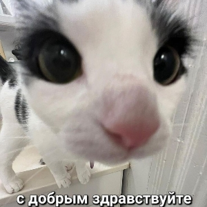 Владимир Медведев