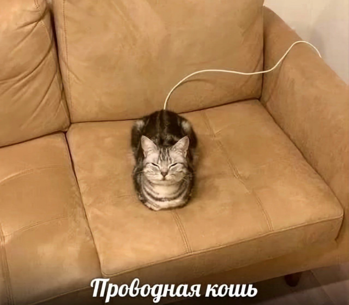 Просто | Сетка — социальная сеть от hh.ru