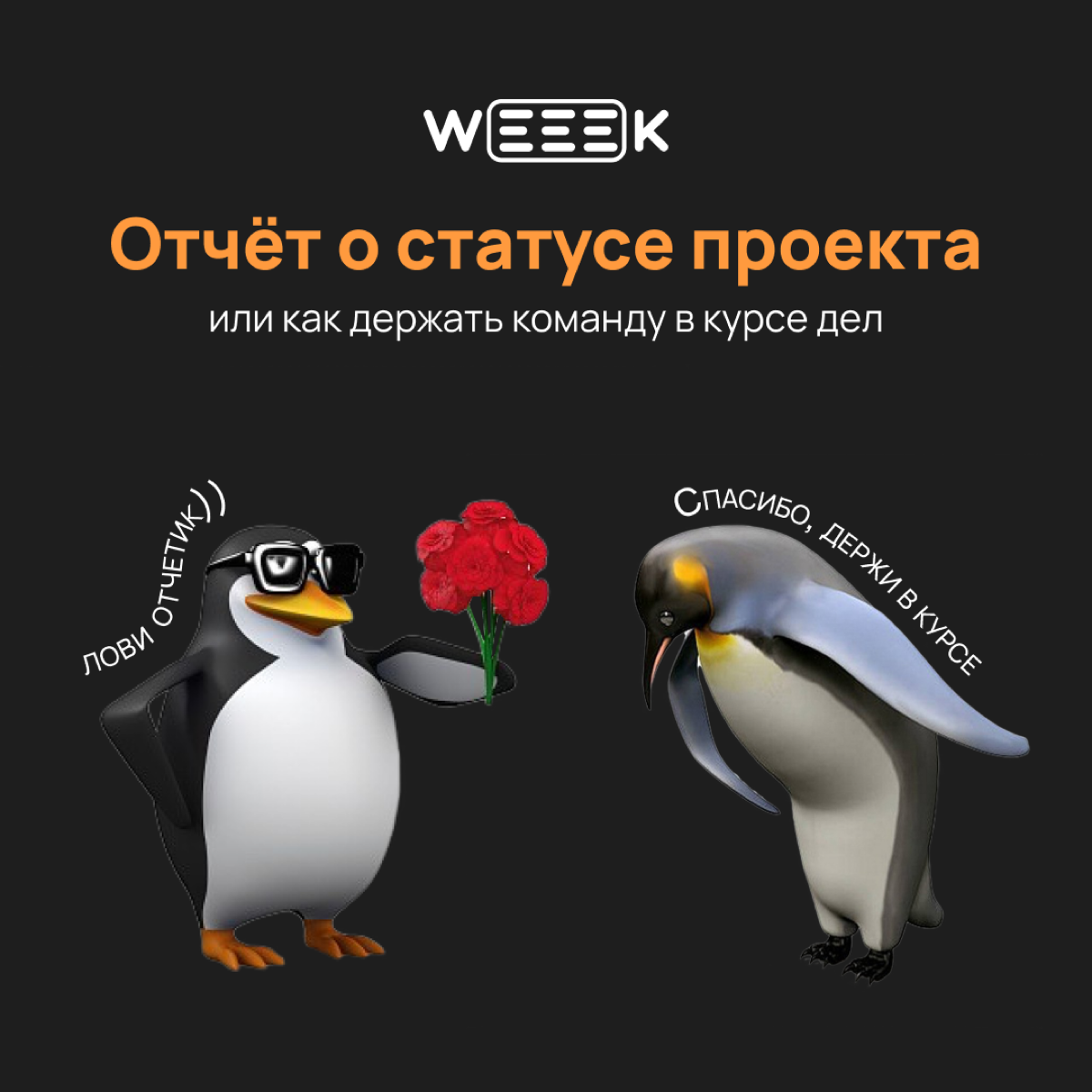 Не такая уж и страшная штука… | Сетка — социальная сеть от hh.ru