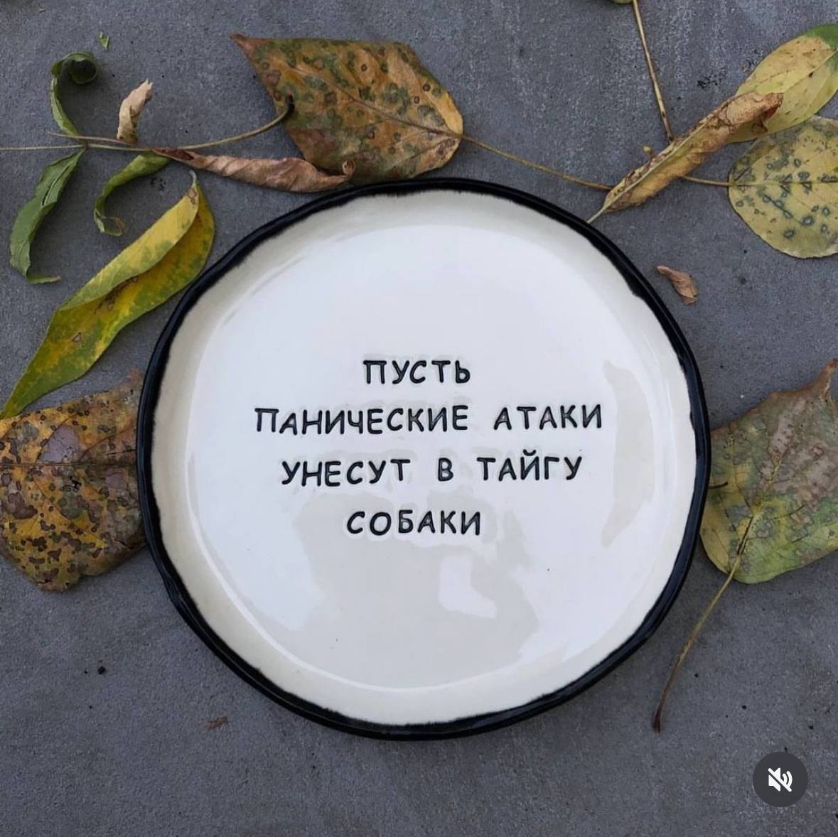 Используем эту тарелку вместо аффирмаций на этой рабочей неделе.
➡️ отправь в телеге мем коллеге | Сетка — социальная сеть от hh.ru