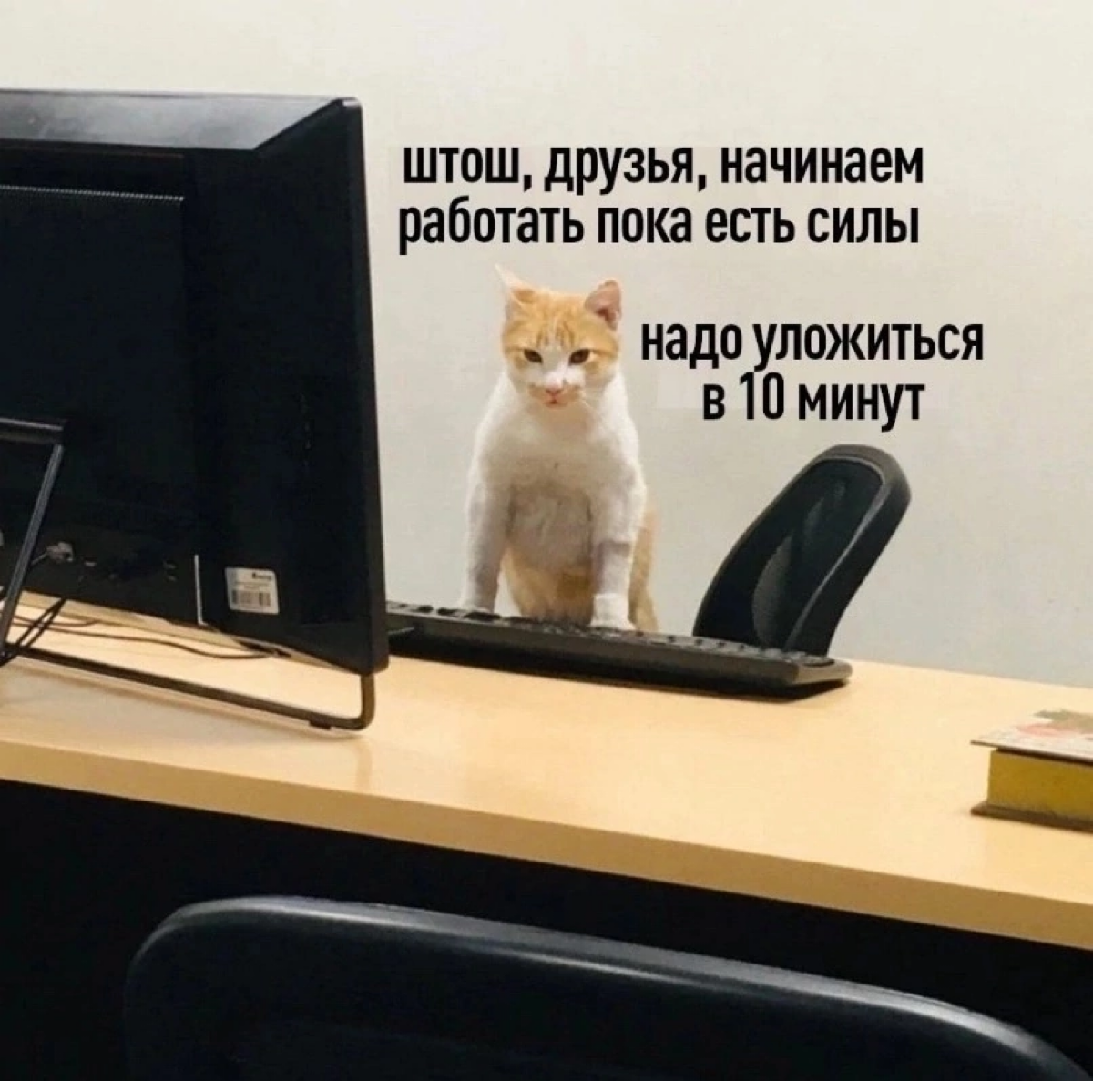 #мемдня
Оп, не успел. Лежим дальше. | Сетка — социальная сеть от hh.ru