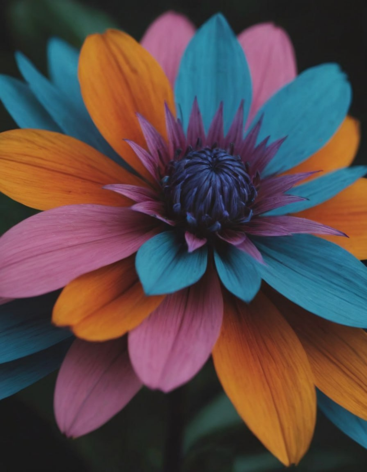 Хочу рассказать про нейросеть, которой я регулярно пользуюсь при создании сайтов и иных композиций.
Рисует она не хуже Midjourney, но при этом обладает рядом инструментов для работы с изображениями | Сетка — социальная сеть от hh.ru