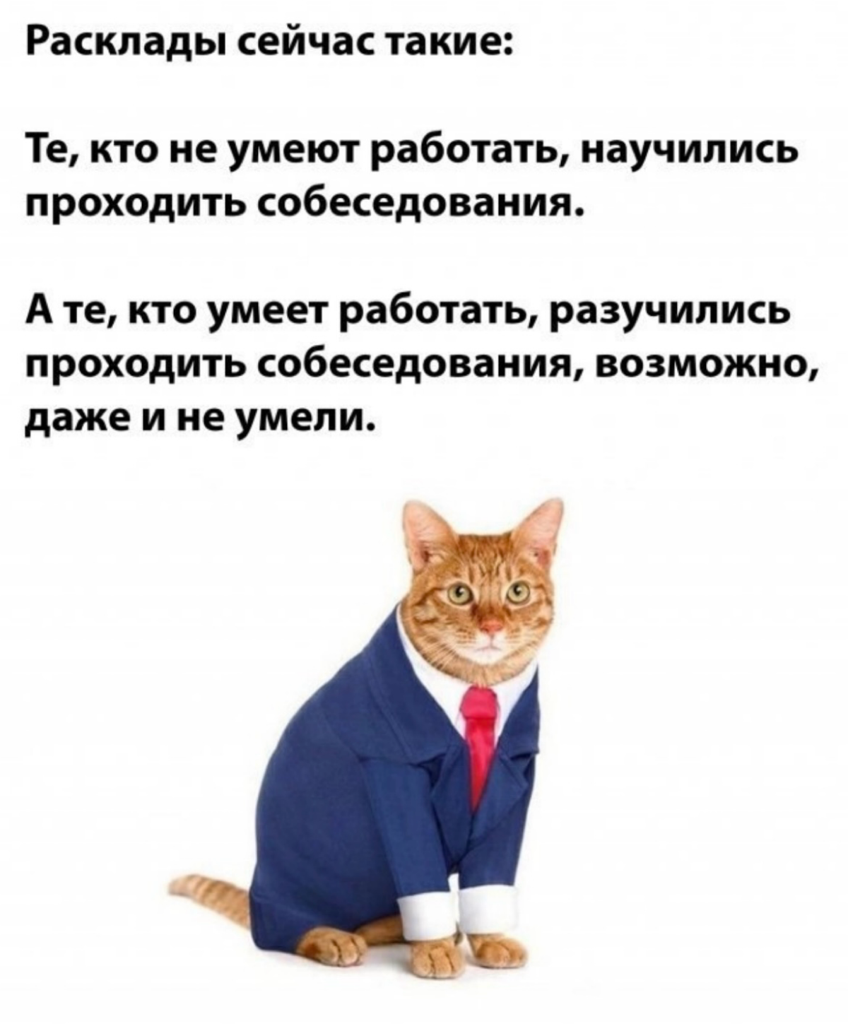 О НАБОЛЕВШЕМ
Коллеги, поделись опытом те, кто получил рост не внутри компании, а с переходом
От слов- недостаточно руководящего опыта, уже глаз дергается) | Сетка — социальная сеть от hh.ru