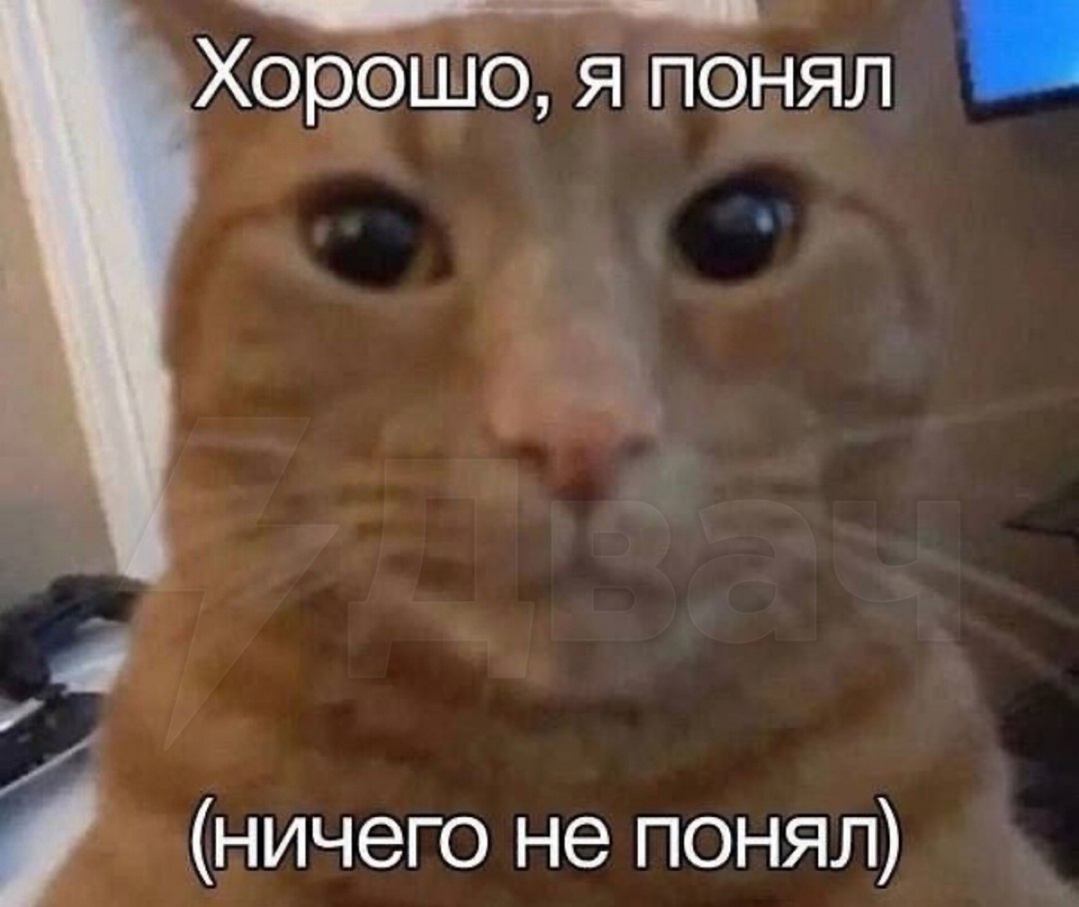 И так каждый день | Сетка — социальная сеть от hh.ru