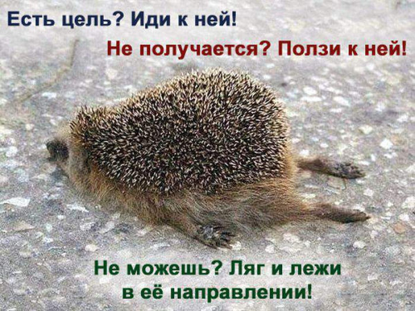 Если нет сил идти к своей цели, ползи к своей цели | Сетка — социальная сеть от hh.ru