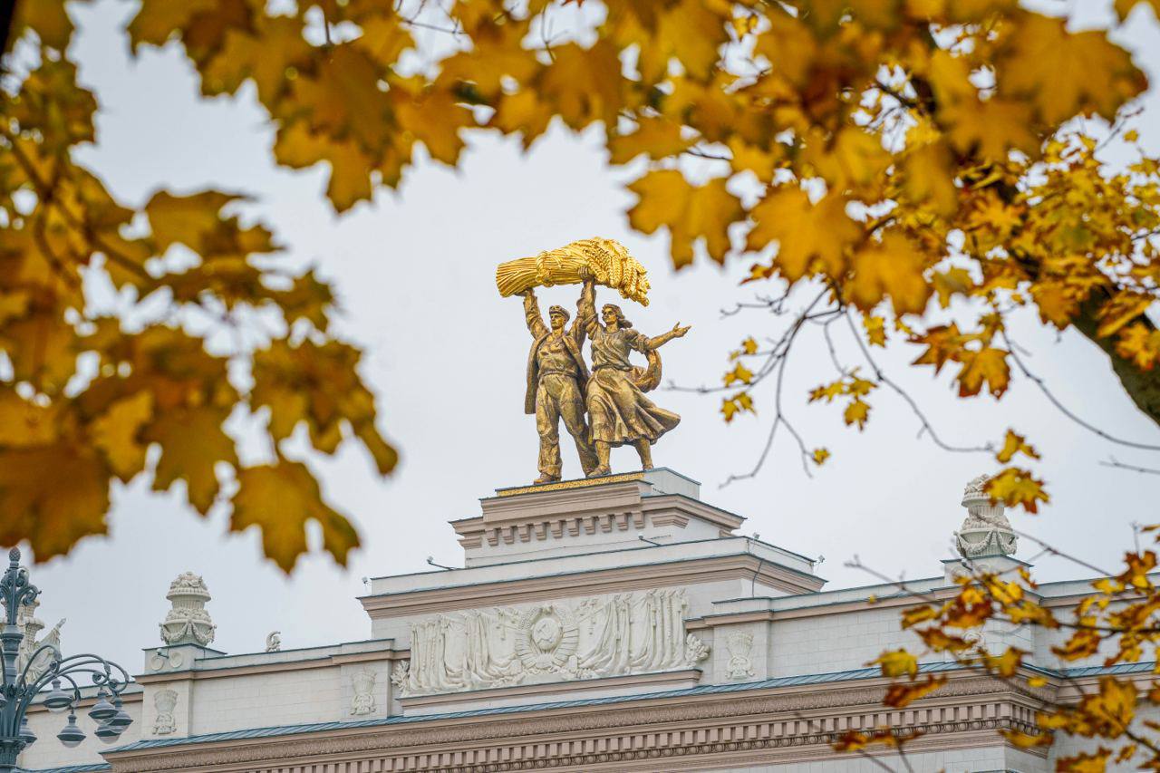 🗣️ Исторический фестиваль и экскурсии подготовили на ВДНХ ко Дню народного единства
▪️3 и 4 ноября в 13:00 пройдет познавательная прогулка «Народное единство в символах архитектуры ВДНХ»
▪️4 ноября в ... | Сетка — социальная сеть от hh.ru