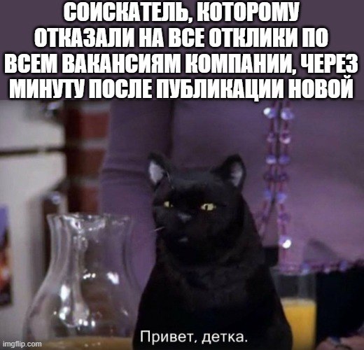 Есть у вас "преданные подписчики"?
@staffdepartment | Сетка — социальная сеть от hh.ru