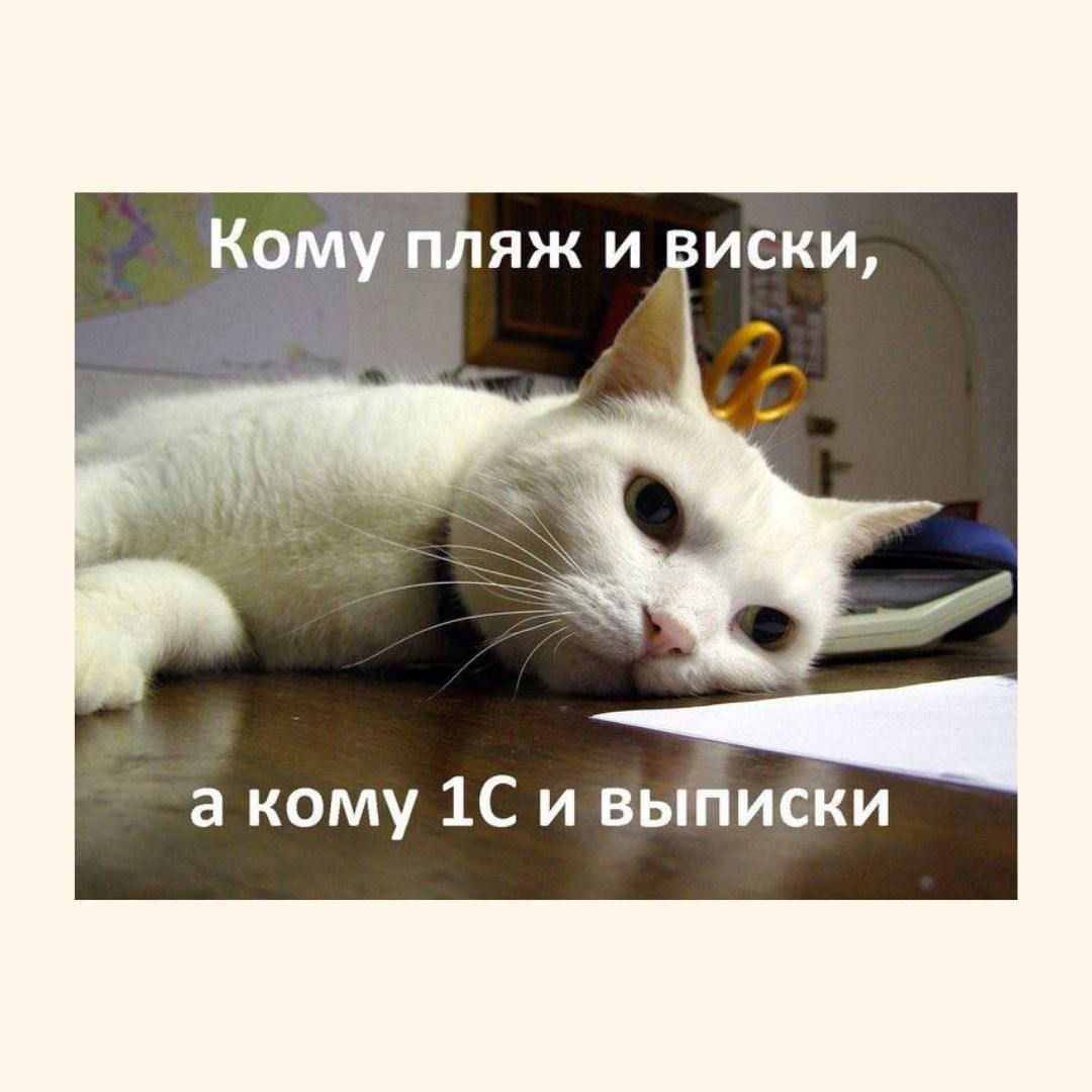 🔥 Как вести бизнес в условиях санкций? Наши секреты для выживания и роста даже в самых нестабильных ситуациях! 🔥
💼 В условиях кризиса важно не только удержаться на плаву, но и находить возможности для... | Сетка — социальная сеть от hh.ru