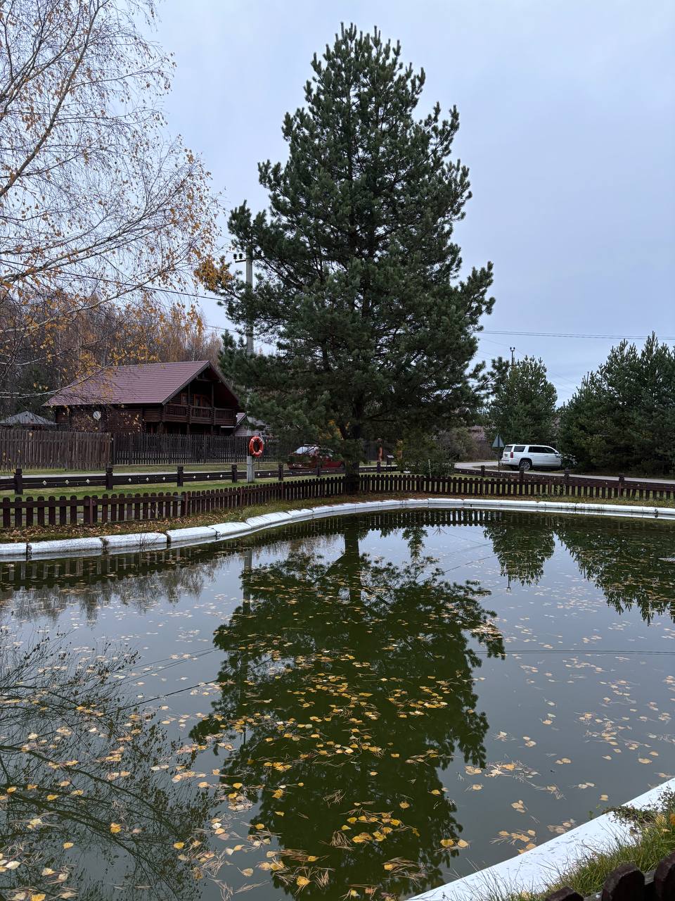 Люди видят других, через свой собственный фильтр, как вода в пруду на этой фотографии. 
Согласны? 
❤️ да 
😵‍💫 нет | Сетка — социальная сеть от hh.ru