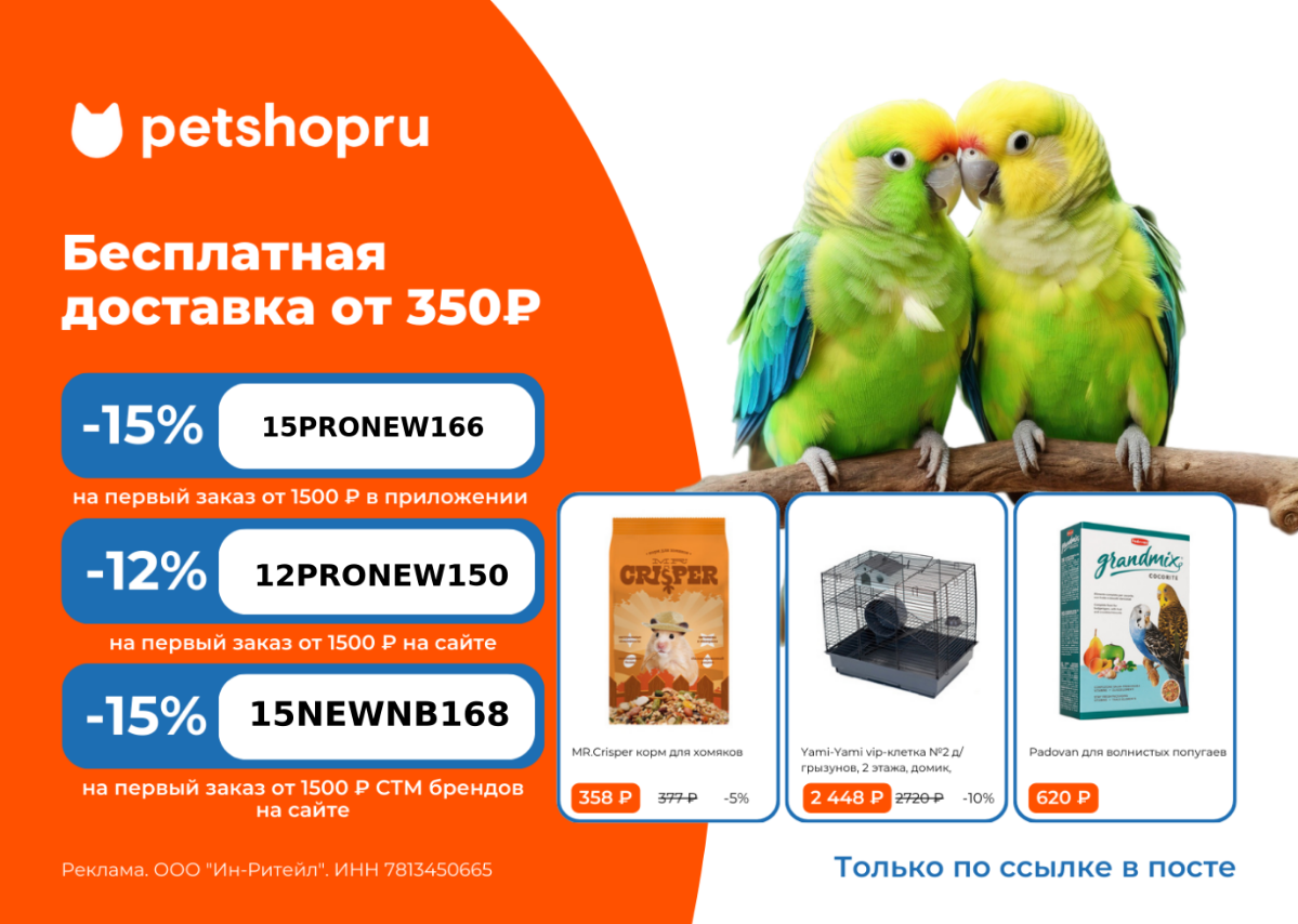 Заходите по ссылке и берите промокоды, забирайте призы и акции! Заказывайте нужные вам товары, продукты питания, пользуйтесь услугами банка, заказывайте такси, путешествие, билеты в театр, смотрите ки... | Сетка — социальная сеть от hh.ru