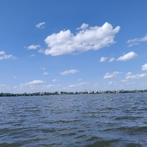 Елена Борщёва
