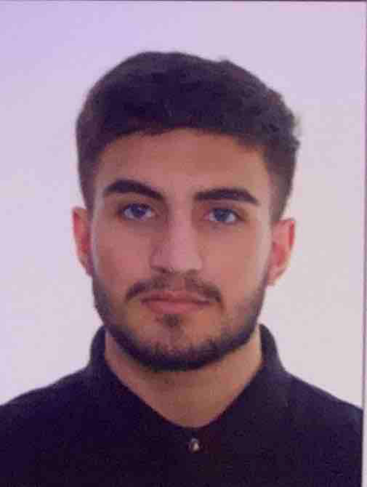 Эдгар Мхоян | Сетка — социальная сеть от hh.ru