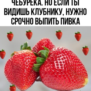 Никита Гриб
