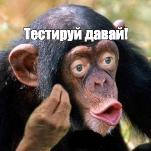 Палата по тестированию #4