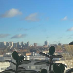 Ирина Беляшова