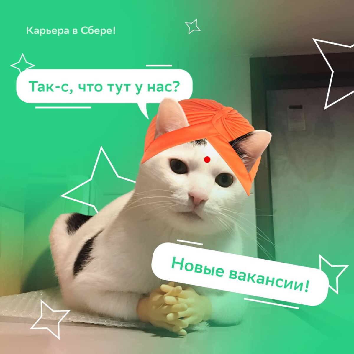 Руководитель направления (Екатеринбург): https://s.sber.ru/DKTjtm
Руководитель направления (Самара): https://s.sber.ru/Hb4P5H
Страновой менеджер (Нижний Новгород): https://s.sber | Сетка — социальная сеть от hh.ru