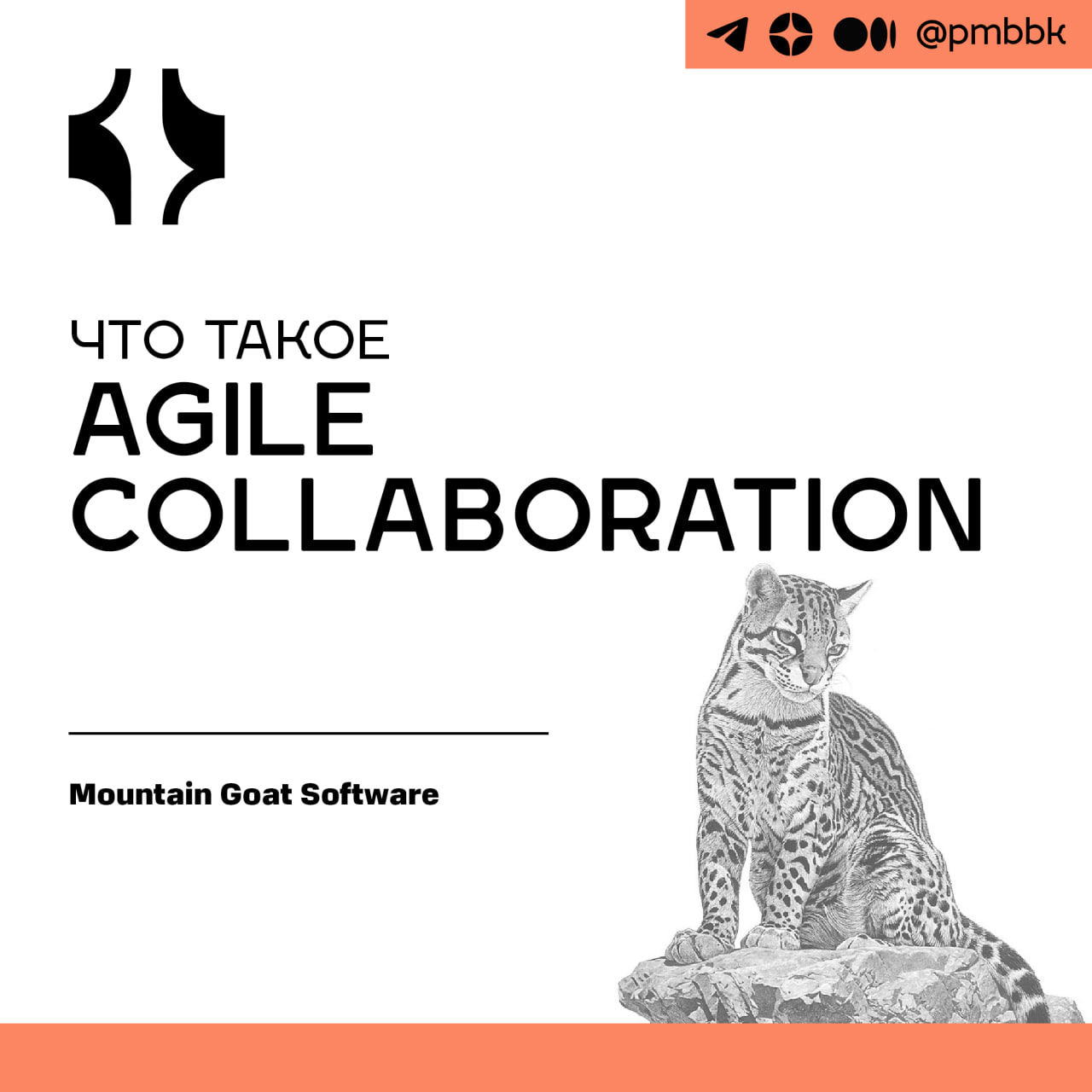 🐜 Что такое Agile Collaboration
Agile Collaboration - это практика эффективной совместной работы в рамках гибкой структуры, такой как Scrum, для достижения общих целей | Сетка — социальная сеть от hh.ru