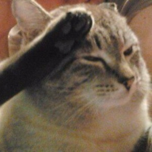 Денис Скворцов