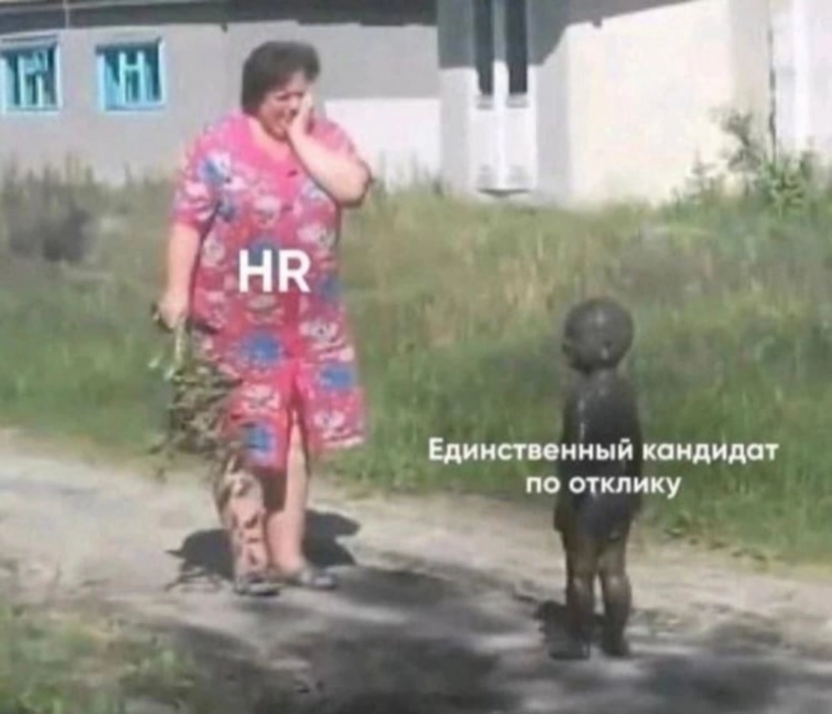 Иногда будни бывают и такими) | Сетка — социальная сеть от hh.ru