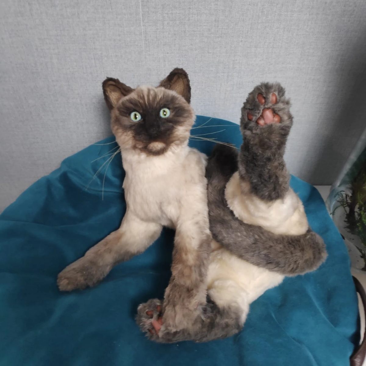 Собственно, одна из работ созданная в смешанной технике.  
Коллекционная игрушка ручной работы.  
#коллекционнаяработа #игрушка #ручнаяработа #artdoll | Сетка — социальная сеть от hh.ru