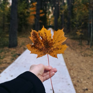Анастасия Усова | Сетка — социальная сеть от hh.ru