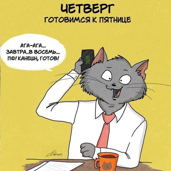 Настраиваемся на четверг вместе с котиками | Сетка — социальная сеть от hh.ru