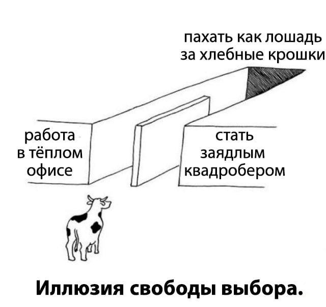 ➡️ отправь в телеге мем коллеге | Сетка — социальная сеть от hh.ru