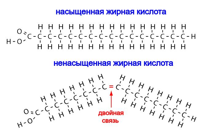 РАБОТА ДЕСАТУРАЗЫ

добавление двойной связи, чтобы сделать модель более гибкой

Так насыщенные жиры становятся ненасыщенными.
Очень наглядно видно. | Сетка — социальная сеть от hh.ru