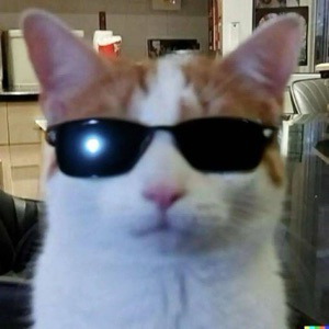 Дмитрий Базыльчик