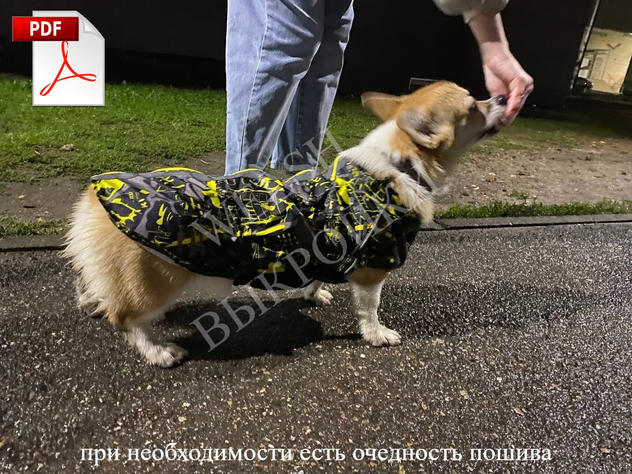 Выкройка адаптирована под корги с их короткими лапками и длинным туловищем 🦴. Застёжка-молния по спине для удобства 🌧 | Сетка — социальная сеть от hh.ru