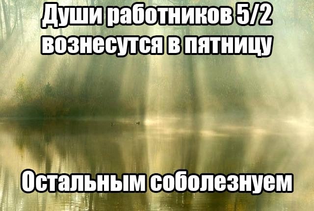 ➡️ отправь в телеге мем коллеге | Сетка — социальная сеть от hh.ru