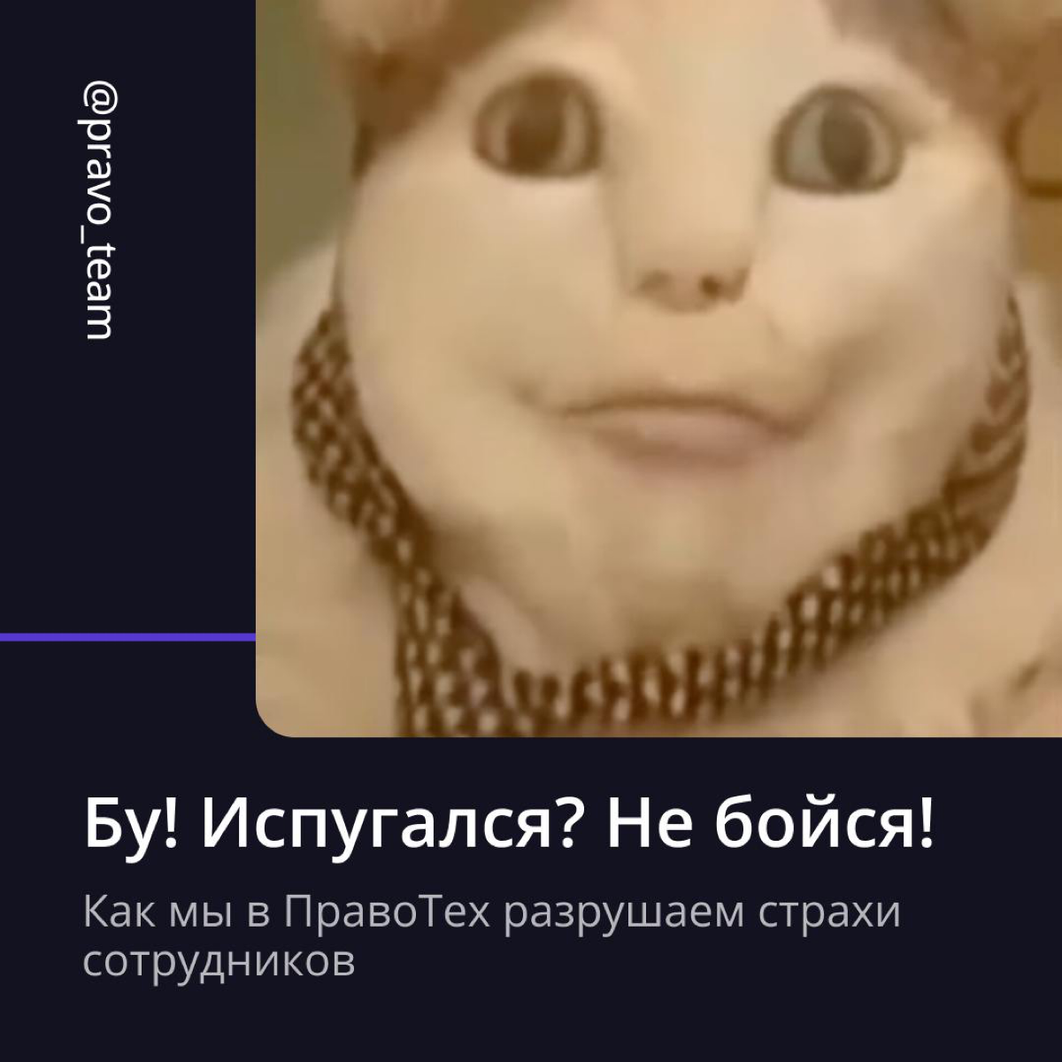 Самые жуткие корпоративные правила 👻 | Сетка — социальная сеть от hh.ru