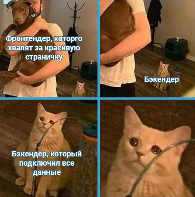 На проект в крупный банк требуется backend-разработчик ⚠️ | Сетка — социальная сеть от hh.ru