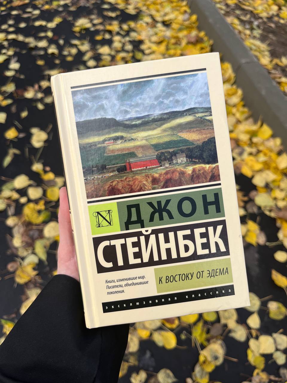 🤩 осень рисует великолепные пейзажи, любоваться которыми можно бесконечно 🤩
а мы с вами приступаем к чтению Стейнбека - большинство в опросе проголосовали именно за него 🤩
это новый для меня автор, ра... | Сетка — социальная сеть от hh.ru