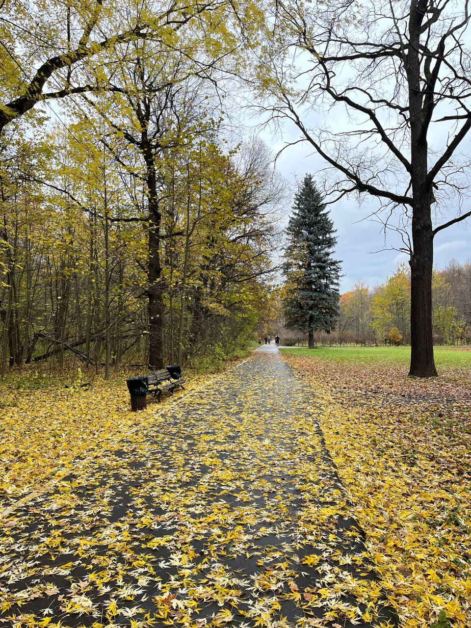 🤩 осень рисует великолепные пейзажи, любоваться которыми можно бесконечно 🤩
а мы с вами приступаем к чтению Стейнбека - большинство в опросе проголосовали именно за него 🤩
это новый для меня автор, ра... | Сетка — социальная сеть от hh.ru