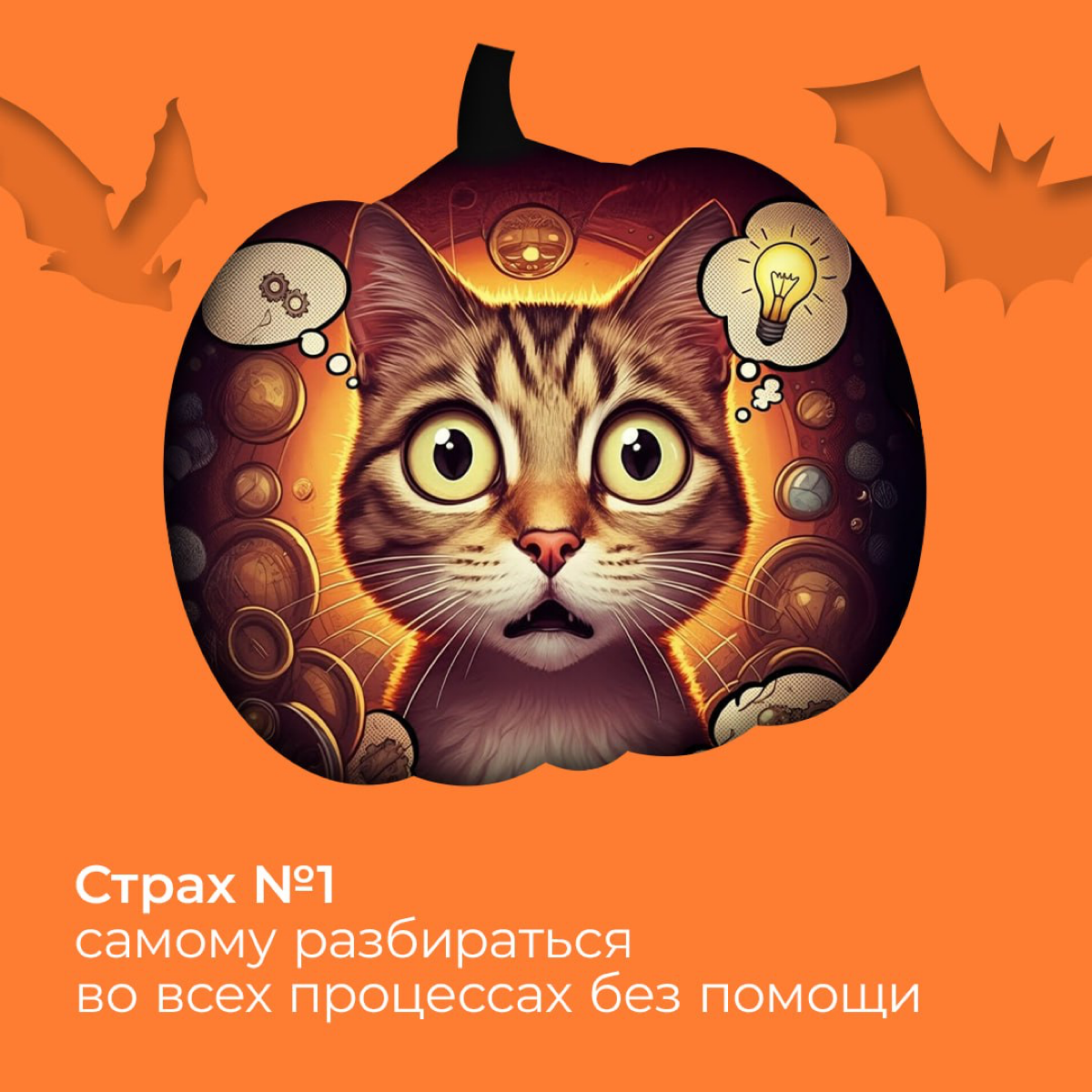Бу, испугался? Не бойся, всё под контролем! | Сетка — социальная сеть от hh.ru