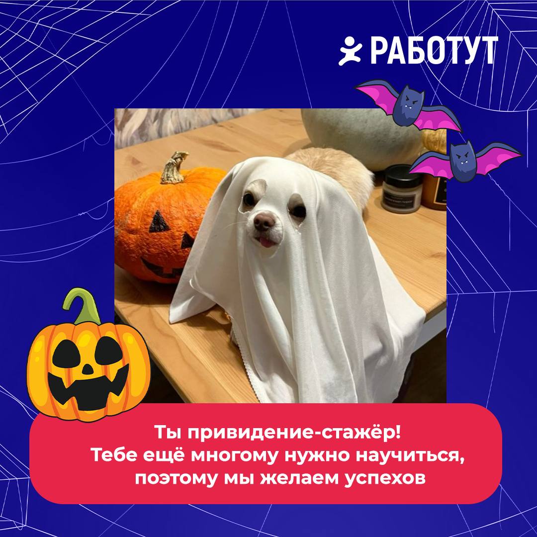 Тест: какое ты привидение?👻
Ответь честно на три вопроса, подсчитай баллы и смотри результат:
1 вопрос: Как долго ты работаешь на нынешнем месте работы?

Меньше года (1 балл)
От 1 до 2 лет (2 балла)
Б... | Сетка — социальная сеть от hh.ru