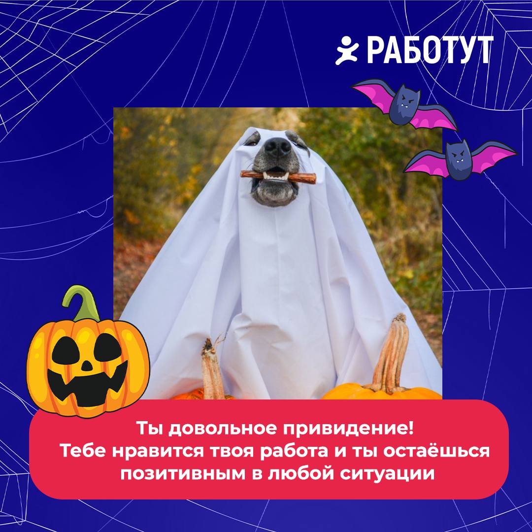 Тест: какое ты привидение?👻
Ответь честно на три вопроса, подсчитай баллы и смотри результат:
1 вопрос: Как долго ты работаешь на нынешнем месте работы?

Меньше года (1 балл)
От 1 до 2 лет (2 балла)
Б... | Сетка — социальная сеть от hh.ru