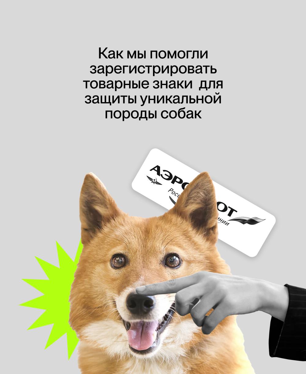✈️ Как мы помогли "Аэрофлоту" зарегистрировать четыре товарных знака для защиты уникальной породы собак.🦮
Очень часто мы подаем заявки на регистрацию очень необычных товарных знаков наших клиентов | Сетка — социальная сеть от hh.ru