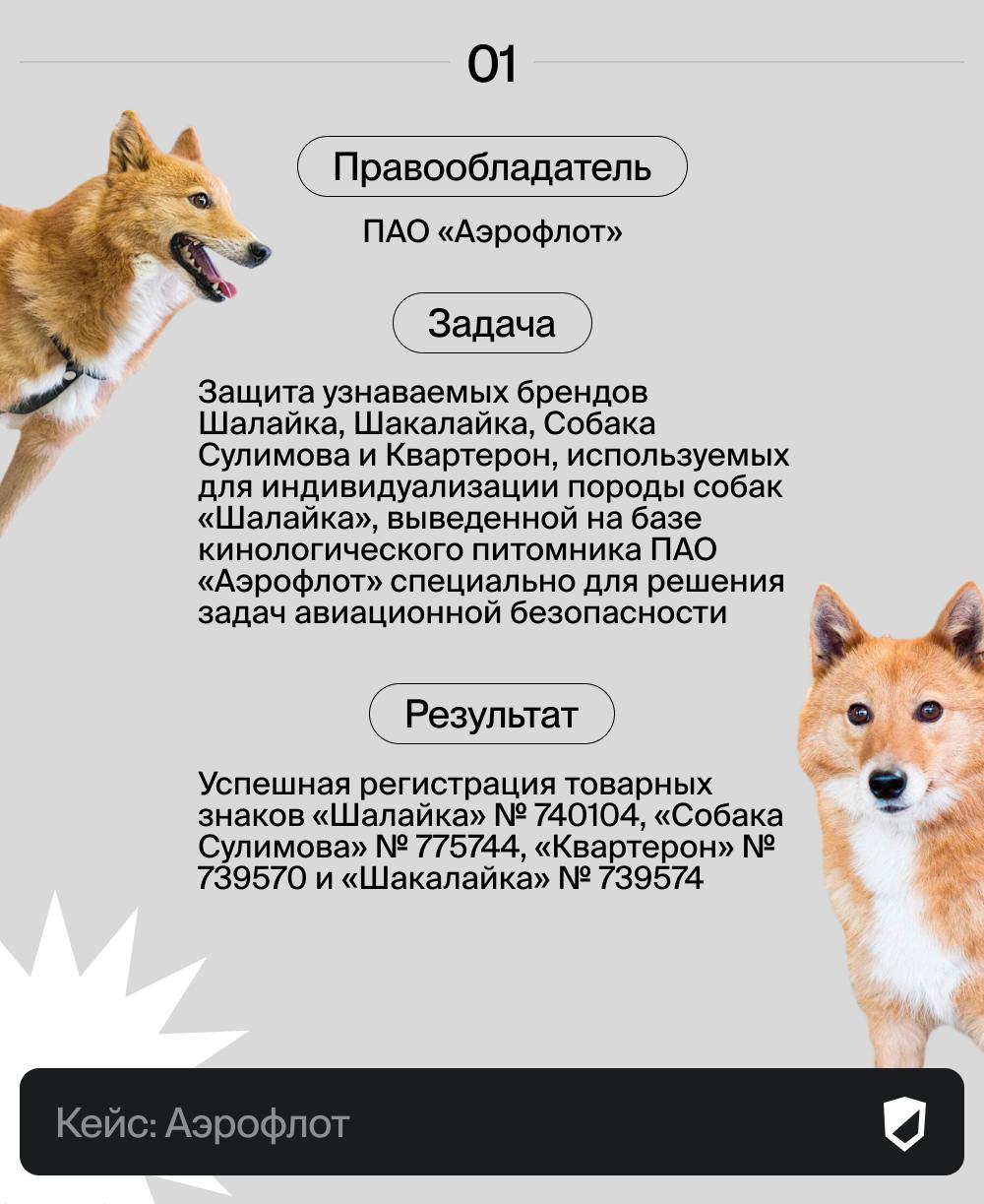 ✈️ Как мы помогли "Аэрофлоту" зарегистрировать четыре товарных знака для защиты уникальной породы собак.🦮
Очень часто мы подаем заявки на регистрацию очень необычных товарных знаков наших клиентов | Сетка — социальная сеть от hh.ru